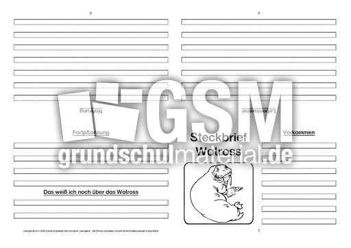Walross-Faltbuch-vierseitig.pdf